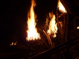 img0376.jpg