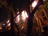 img0381.jpg