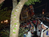 img0483.jpg