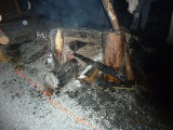 img0490.jpg