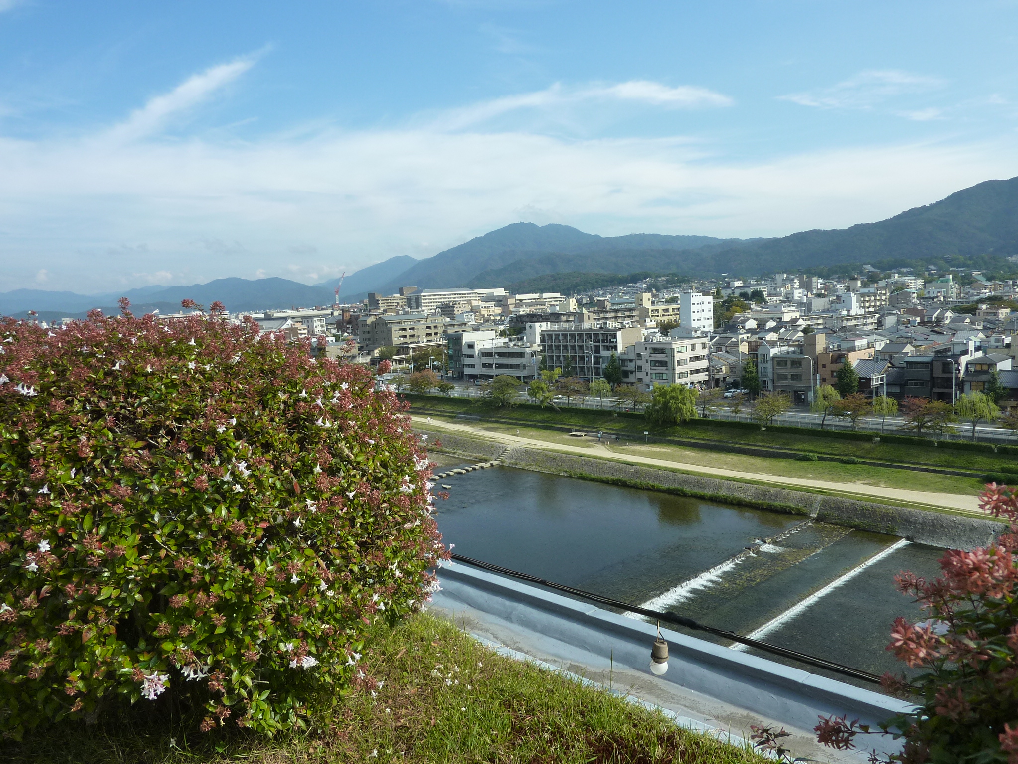 P1070673.JPG
