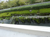 img0003.jpg