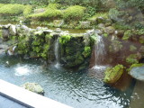 img0010.jpg