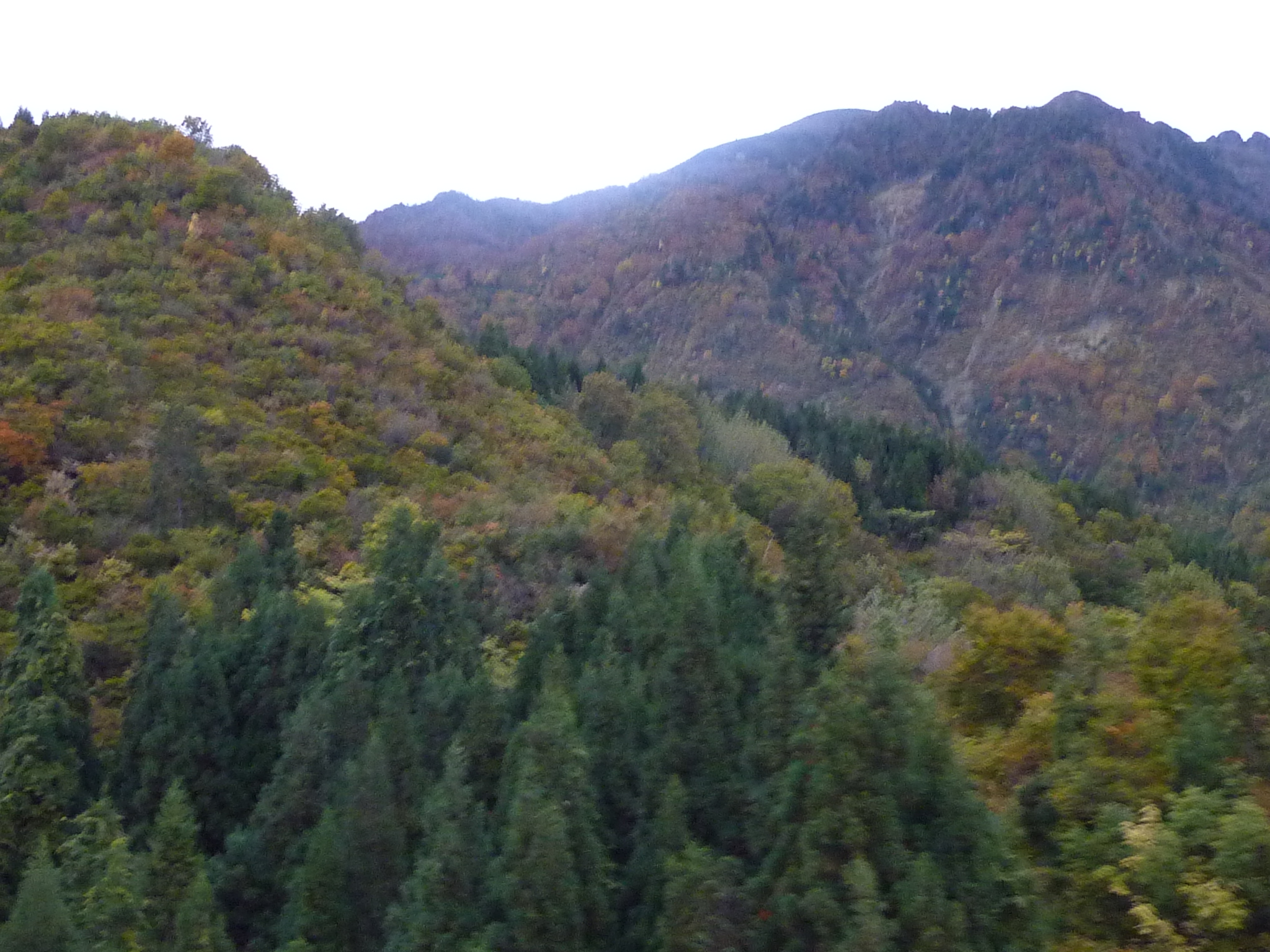 P1070824.JPG