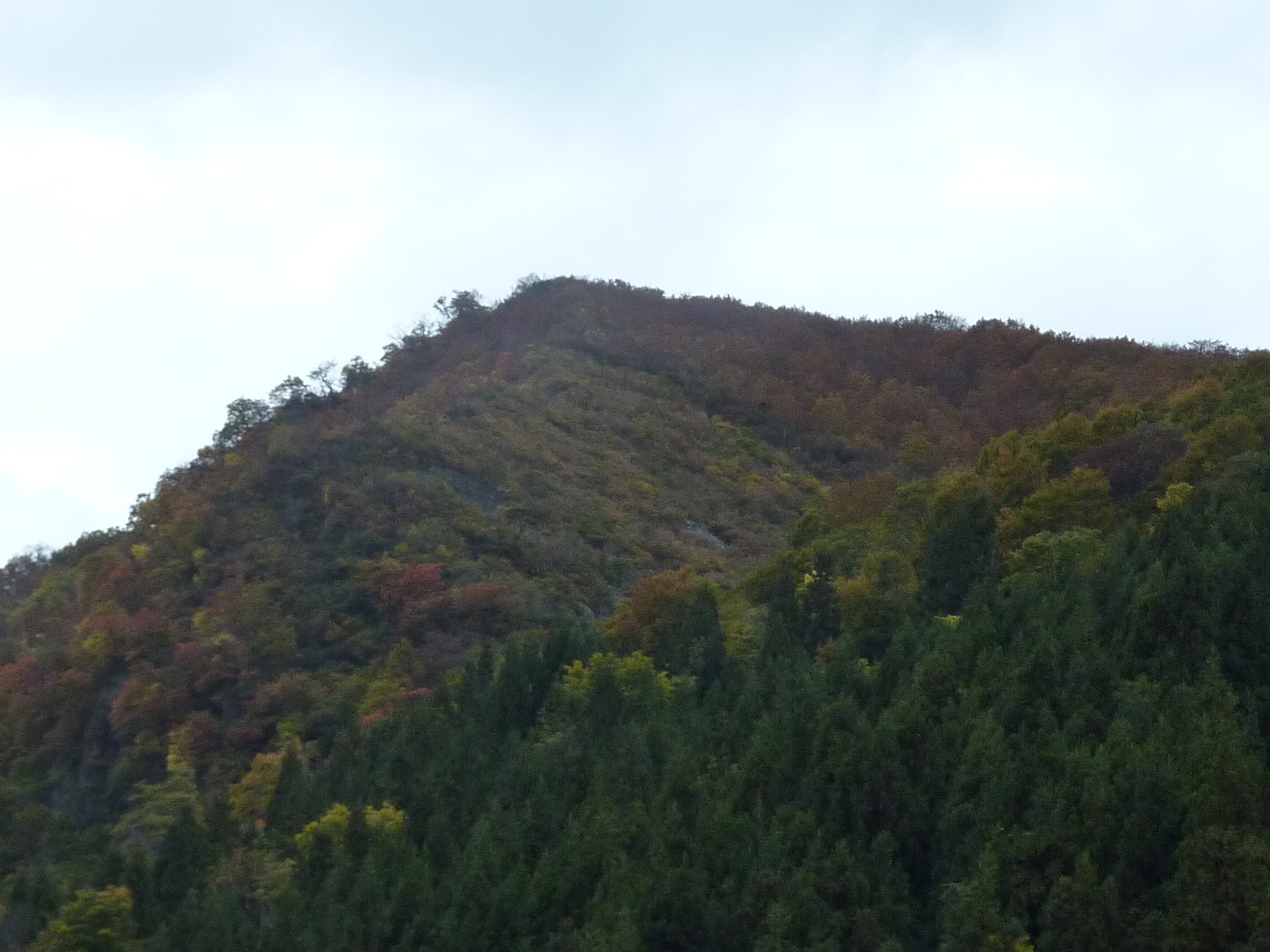 P1070825.JPG