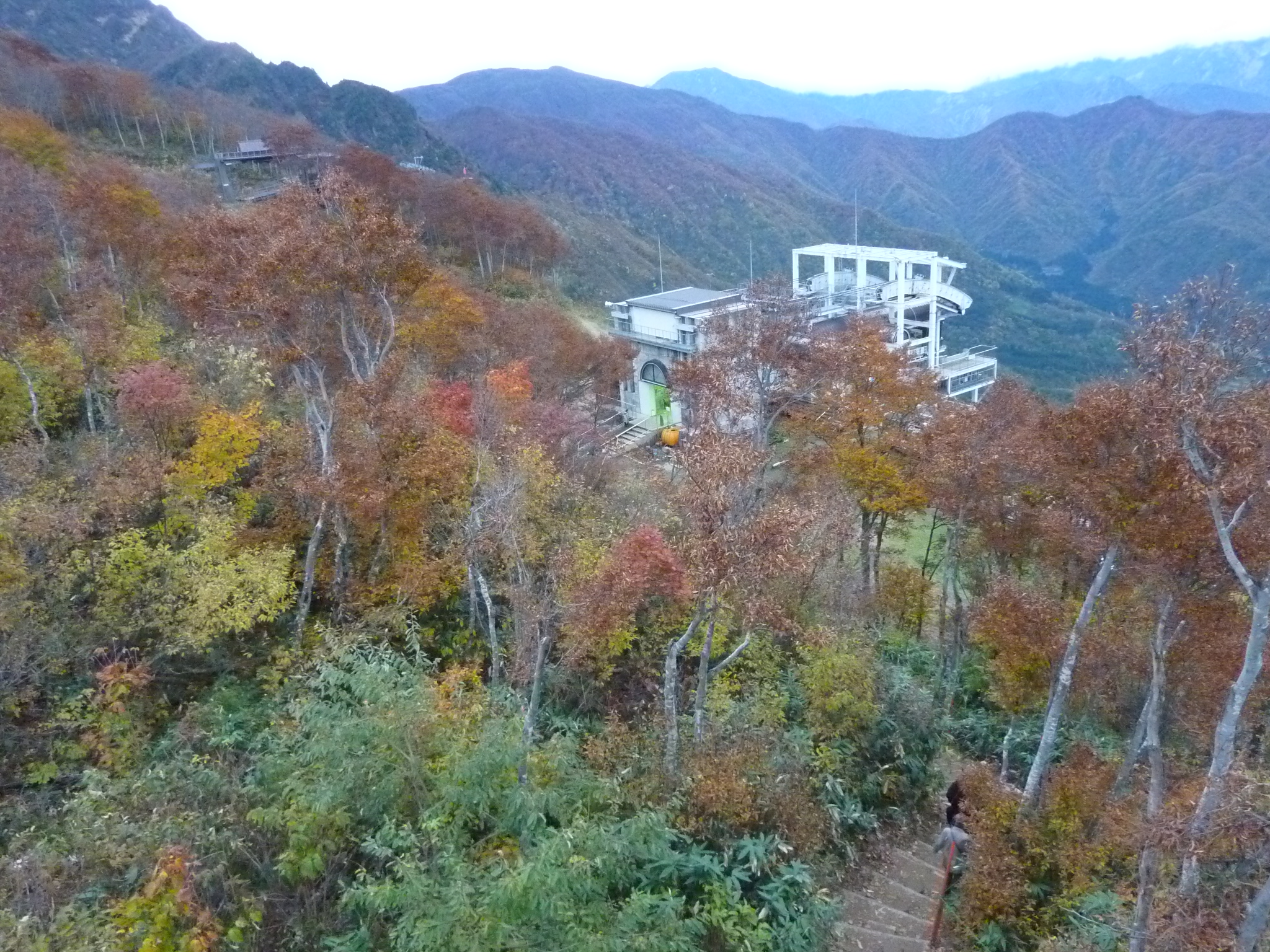 P1070834.JPG