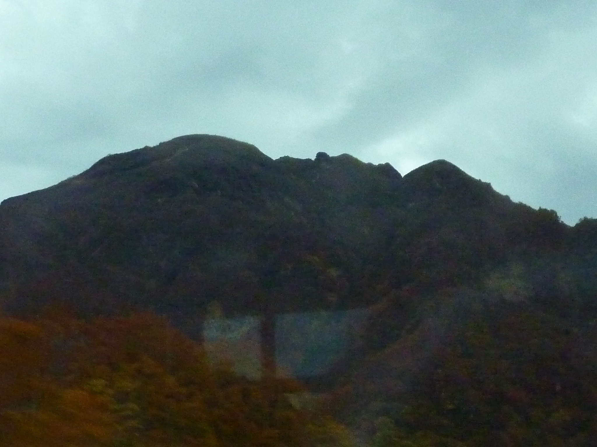 P1070864.JPG