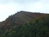 img0035.jpg