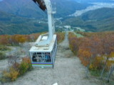 img0061.jpg