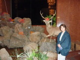 img0074.jpg
