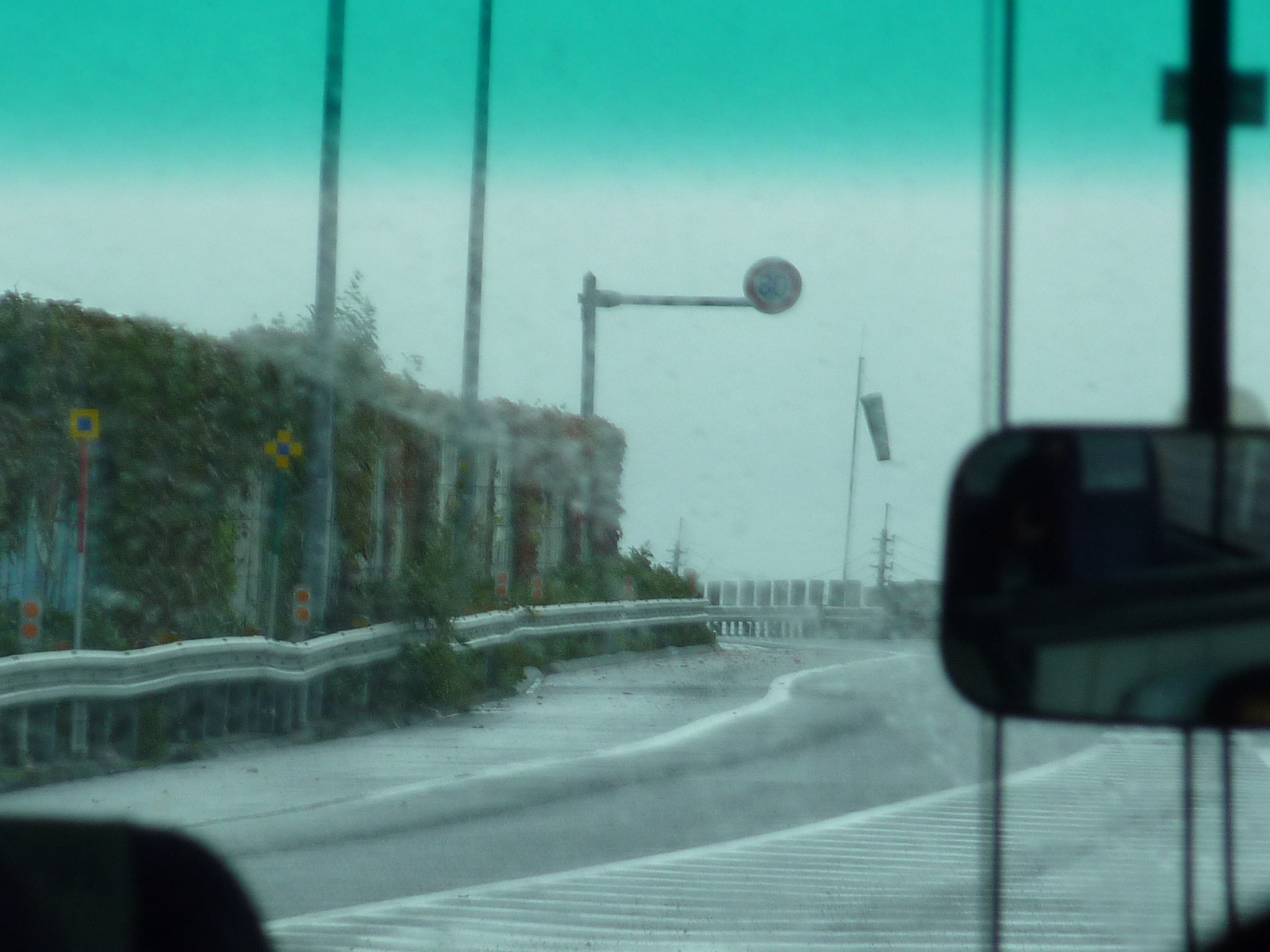 P1070998.JPG