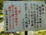 img0041.jpg