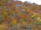 img0064.jpg