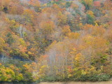 img0065.jpg