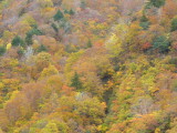 img0067.jpg