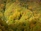 img0079.jpg