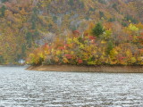 img0080.jpg