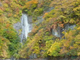 img0086.jpg