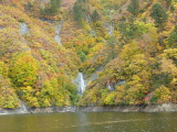 img0087.jpg