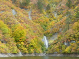 img0091.jpg