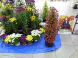 img0128.jpg