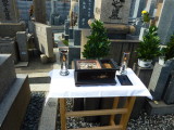 img0008.jpg