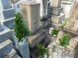 img0012.jpg