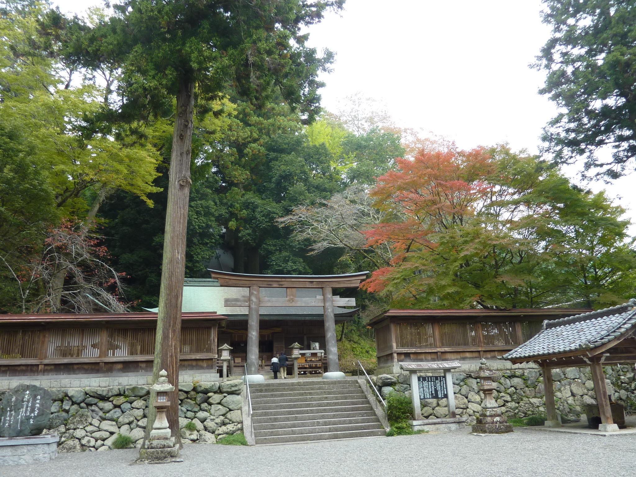 P1080176.JPG