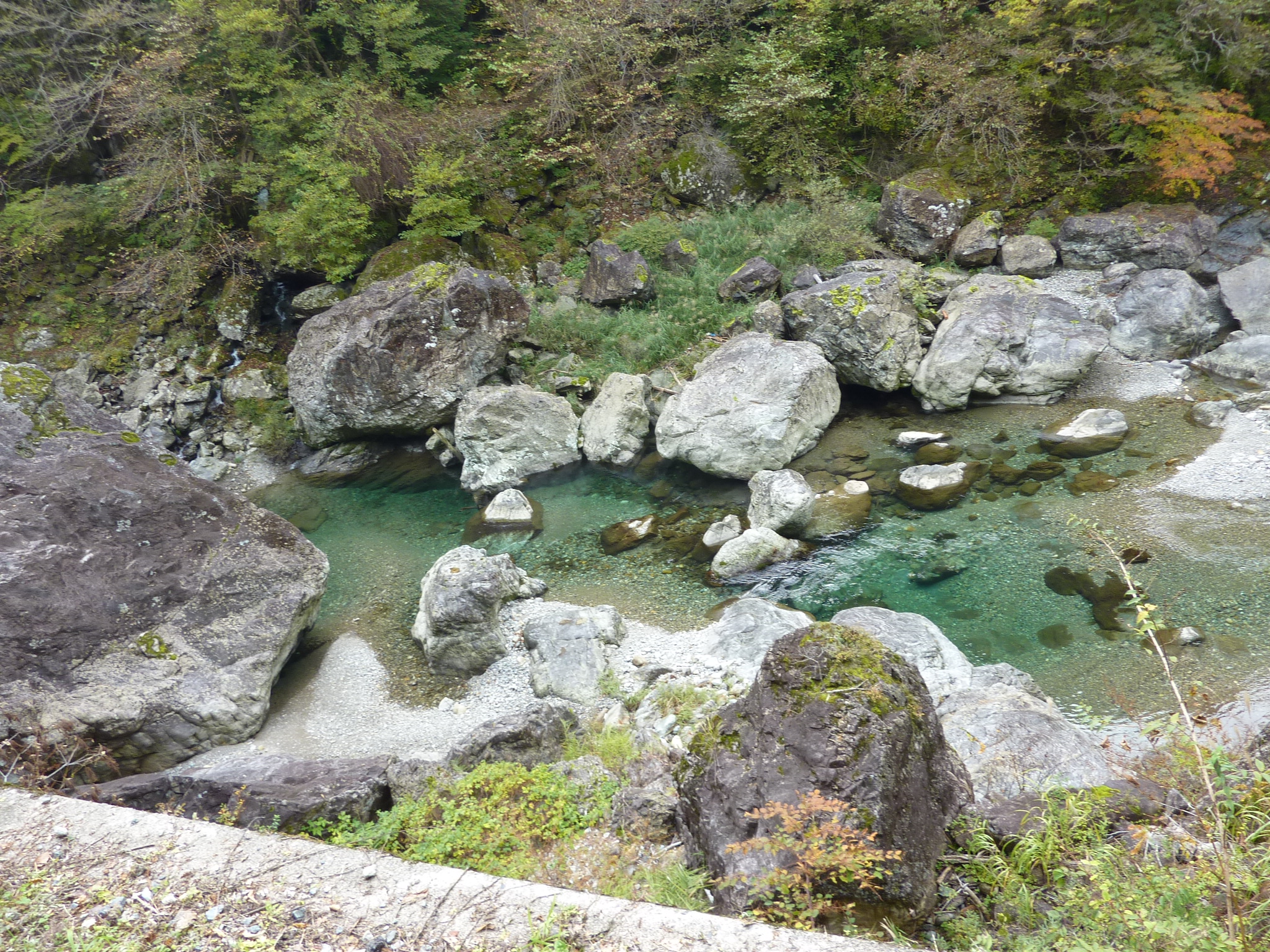 P1080194.JPG