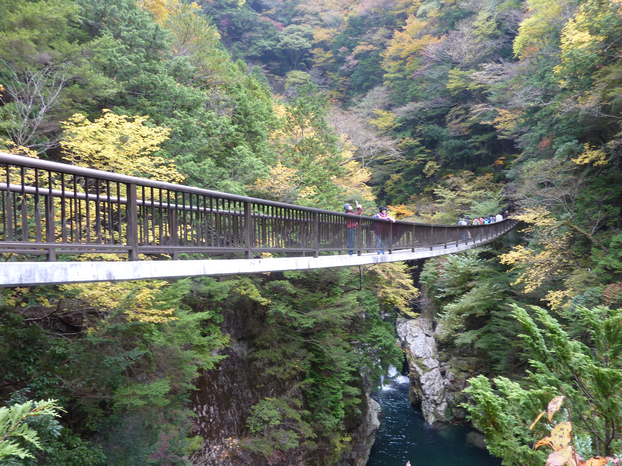 P1080199.JPG