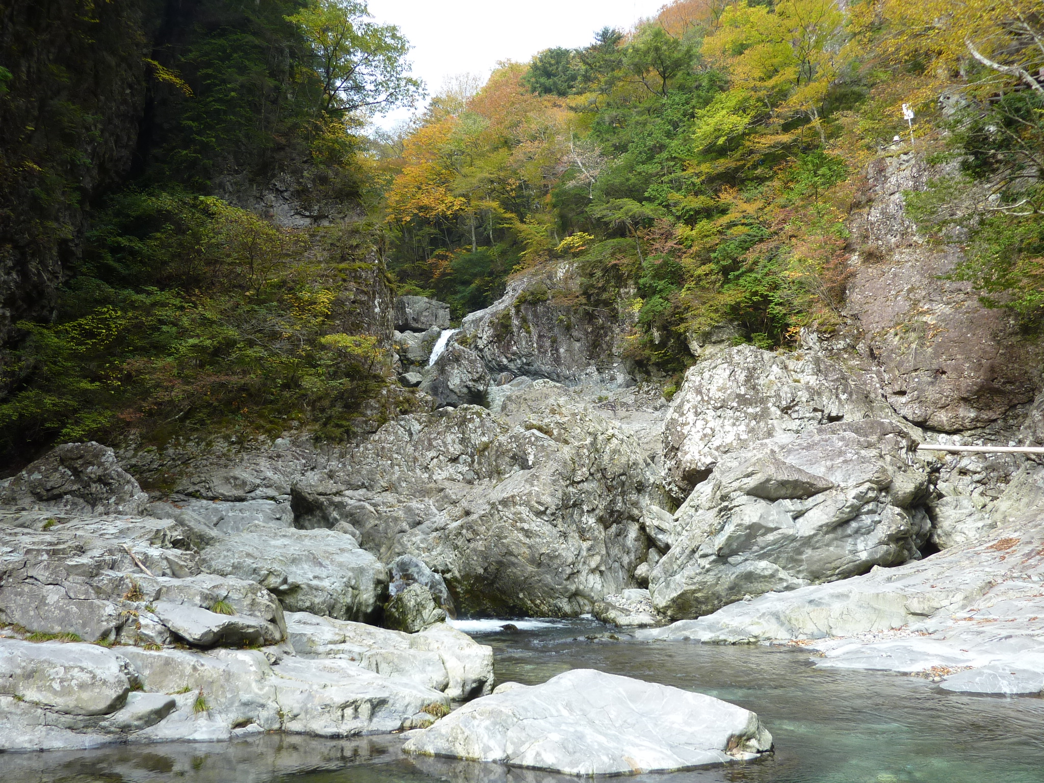P1080213.JPG