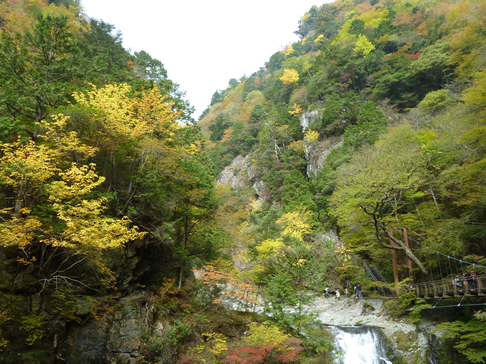 P1080217.JPG