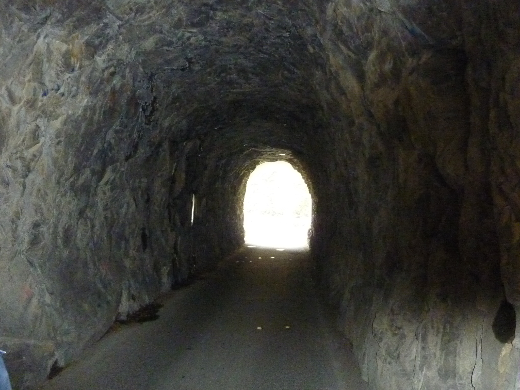 P1080220.JPG