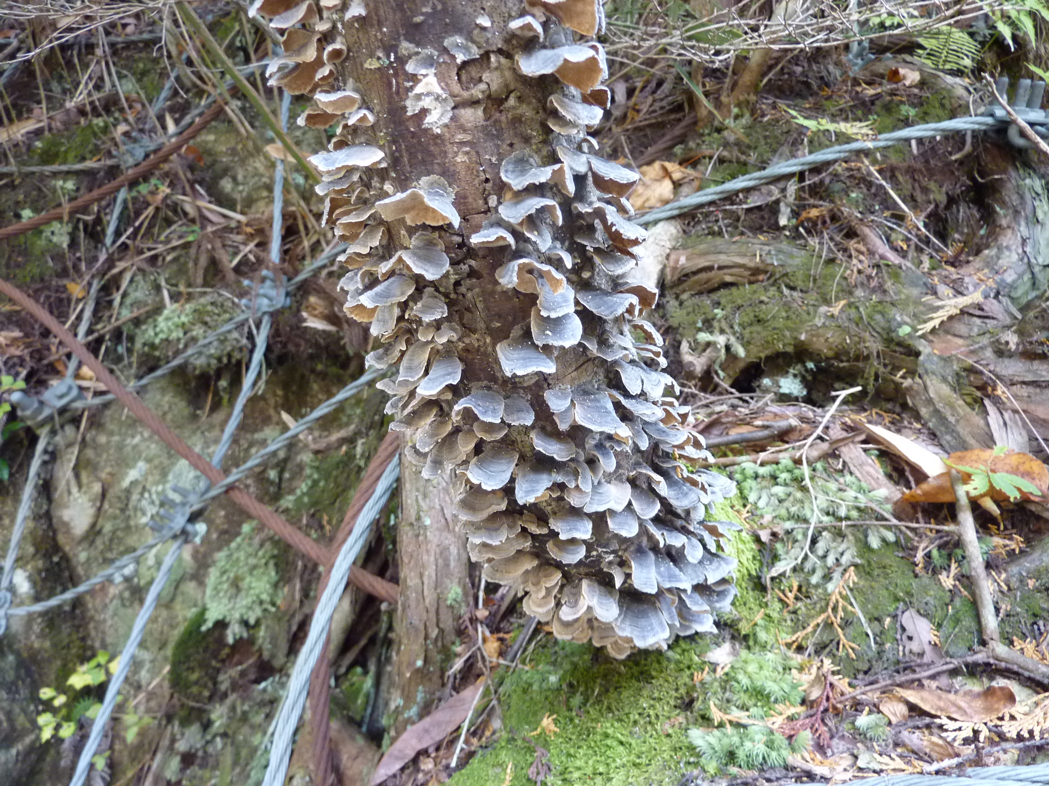 P1080226.JPG