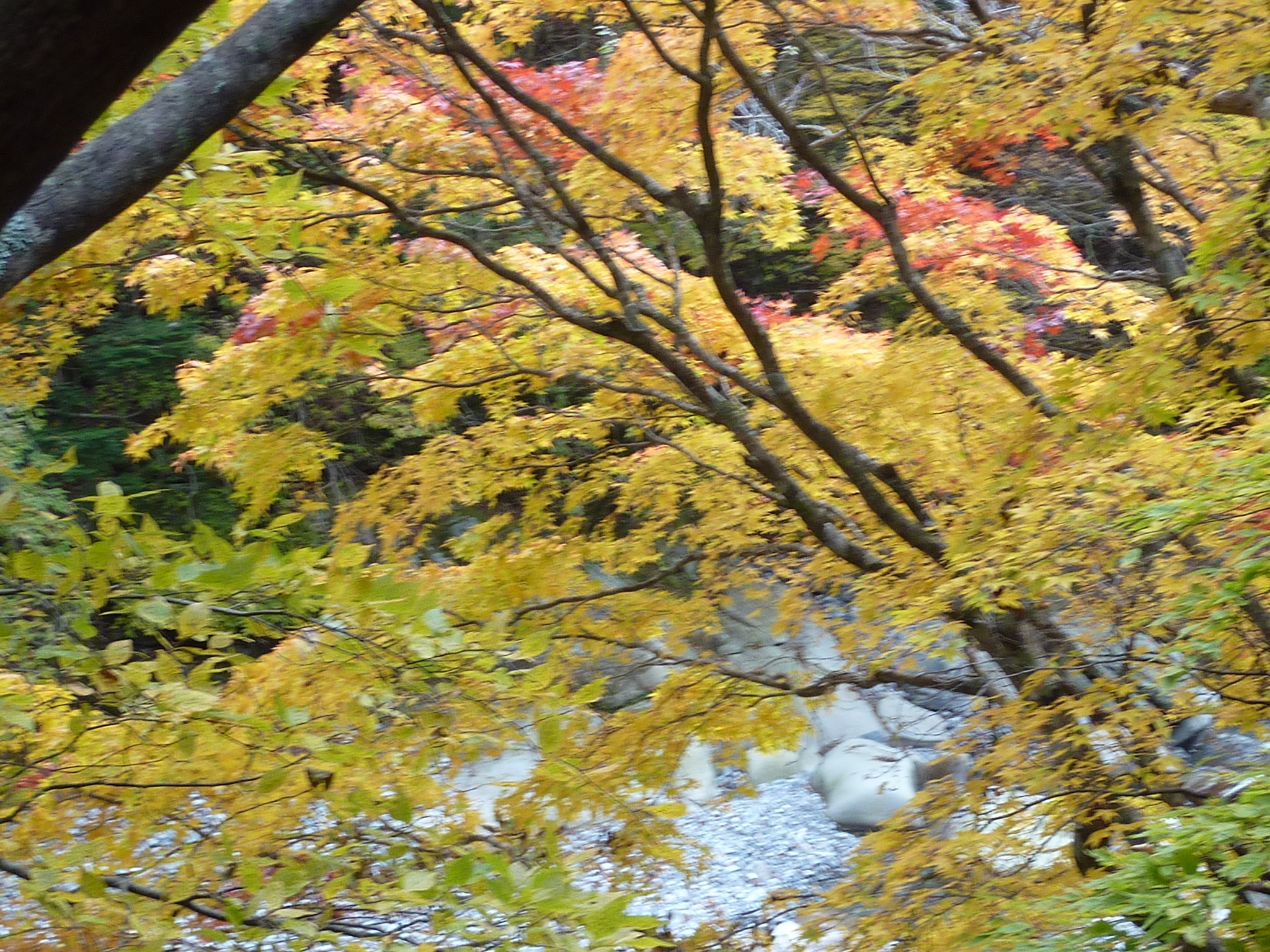 P1080242.JPG