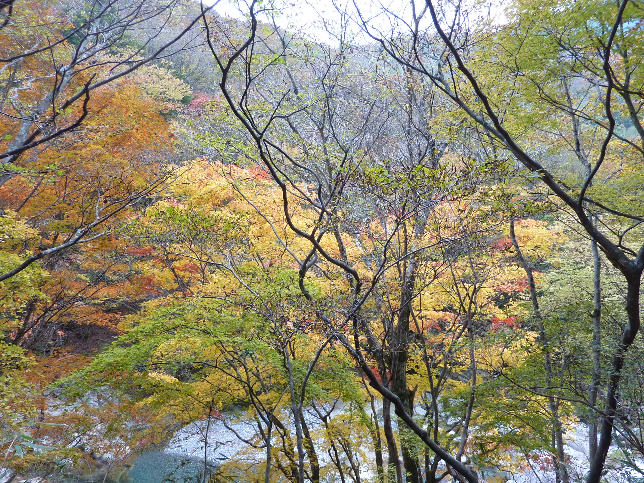 P1080243.JPG