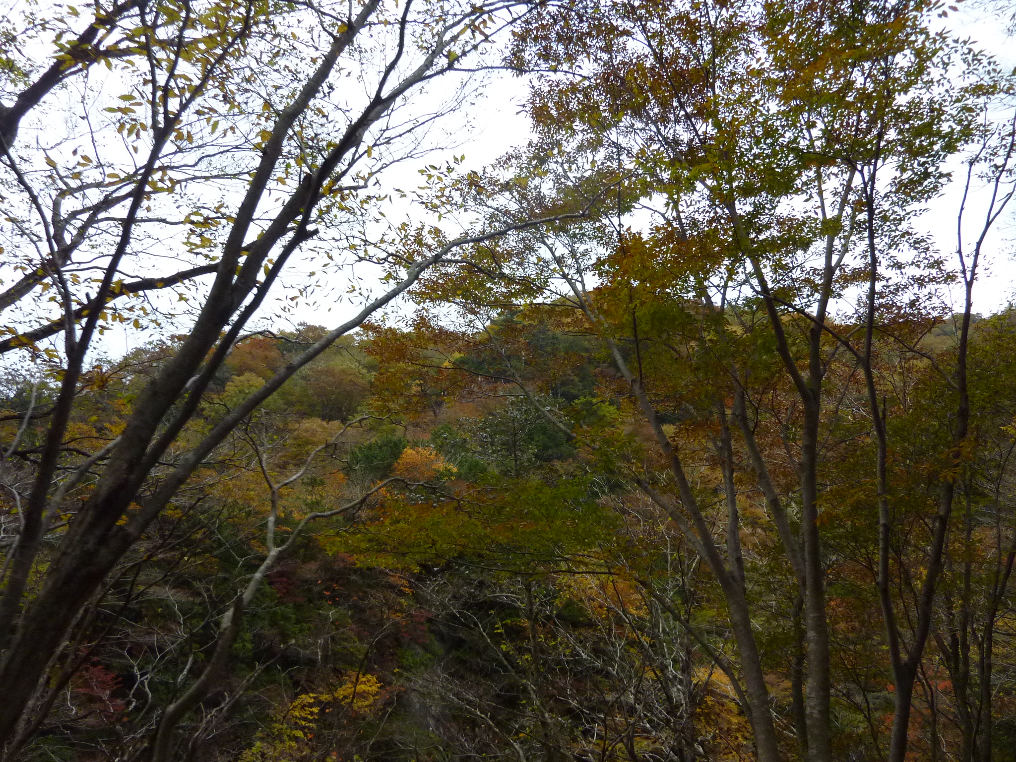 P1080245.JPG
