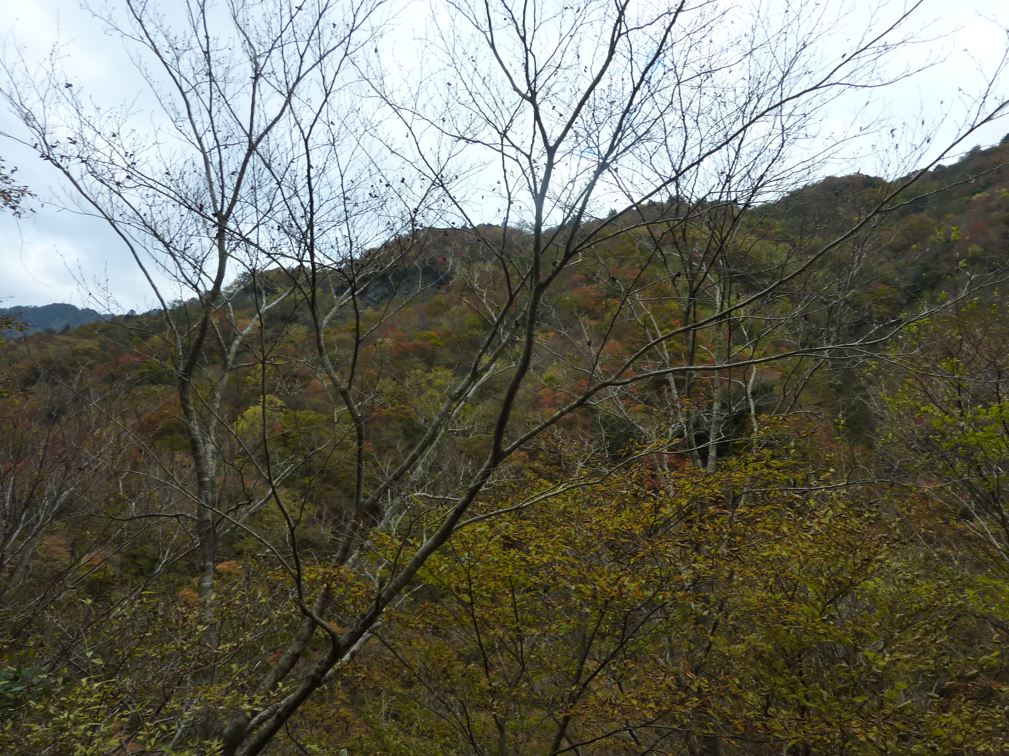 P1080248.JPG