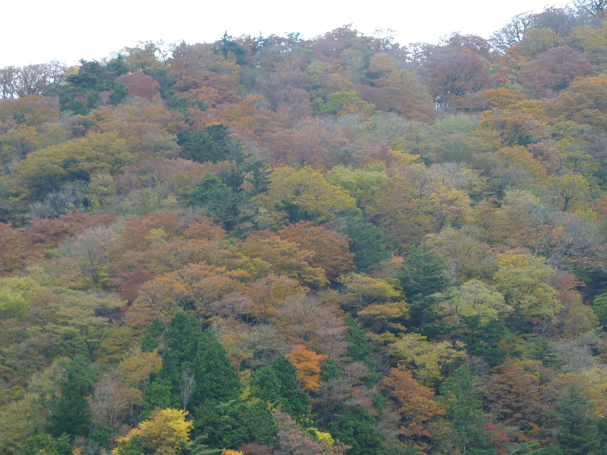 P1080252.JPG