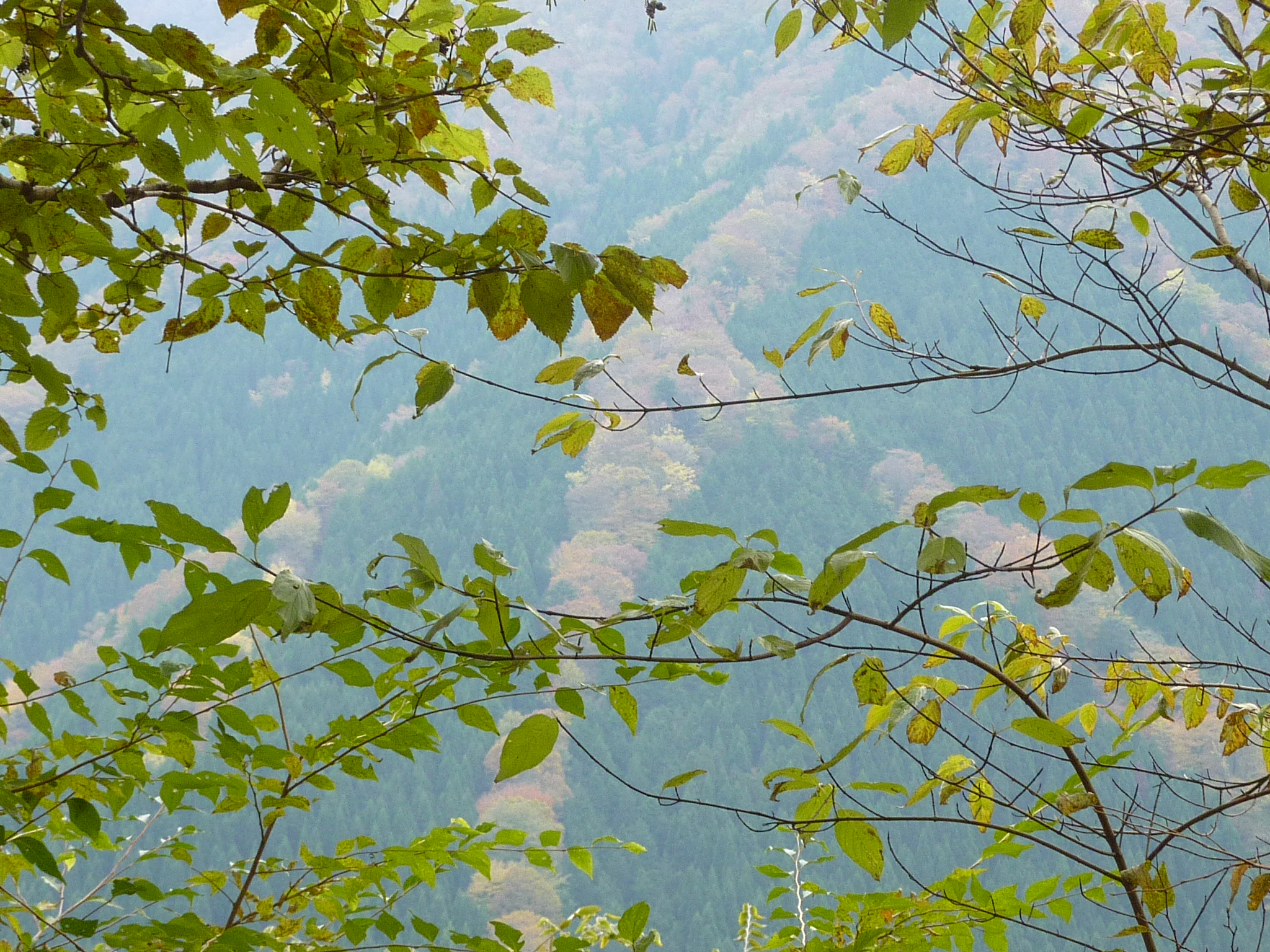 P1080256.JPG