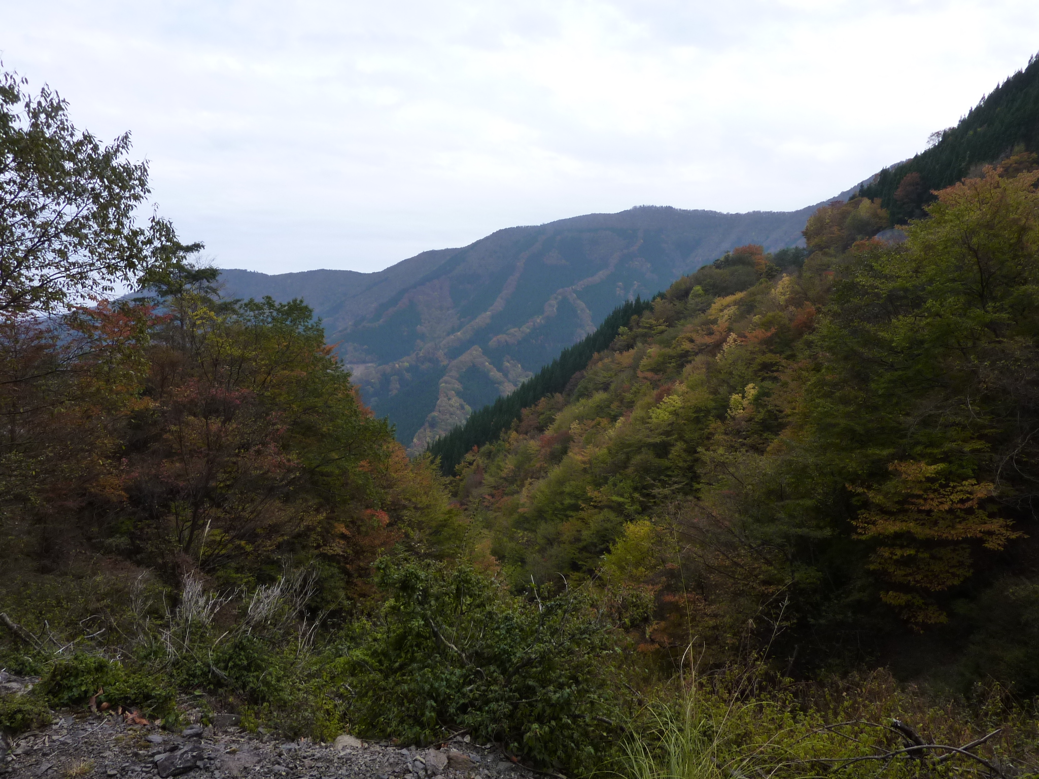P1080257.JPG