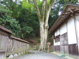img0009.jpg