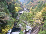 img0026.jpg