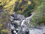 img0036.jpg