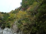 img0037.jpg