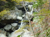 img0039.jpg