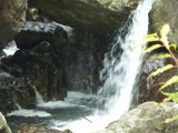img0041.jpg