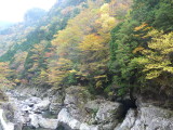 img0047.jpg