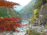 img0049.jpg