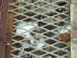 img0054.jpg